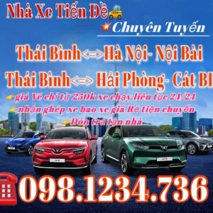 𝐓𝐡𝐚́𝐢 𝐁𝐢̀𝐧𝐡- 𝐇𝐚̉𝐢 𝐏𝐡𝐨̀𝐧𝐠- 𝐂𝐚́𝐭 𝐁i